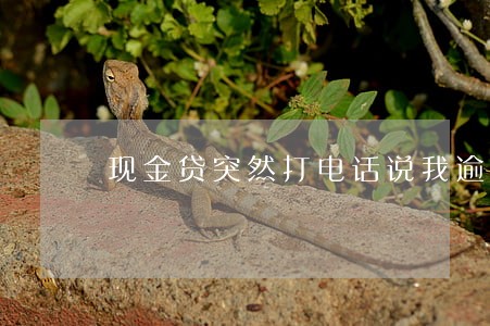 现金贷突然打电话说我逾期 现金贷突然打电话说我逾期