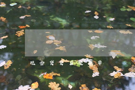 现金贷贷后逾期率 现金贷贷后逾期率
