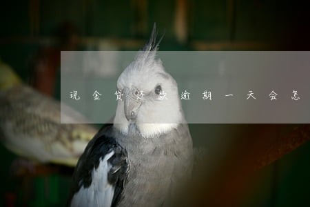 现金贷还款逾期一天会怎样