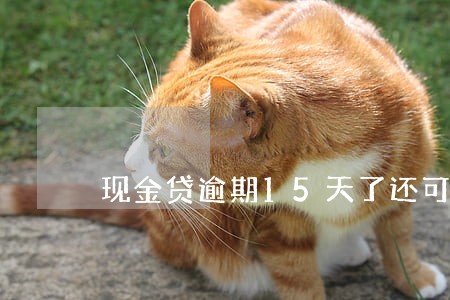 现金贷逾期15天了还可以再借吗