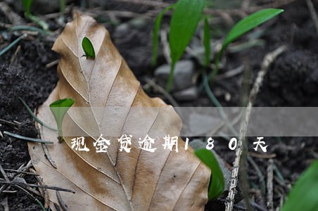 现金贷逾期180天 现金贷逾期180天