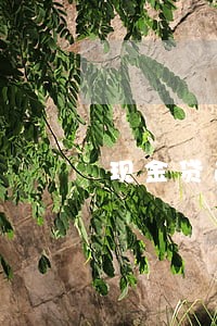 现金贷逾期1年后怎么办 现金贷逾期1年后怎么办