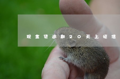 现金贷逾期20天上征信 现金贷逾期20天上征信