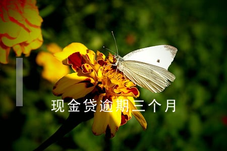 现金贷逾期三个月 现金贷逾期三个月