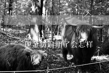 现金贷逾期了会怎样 现金贷逾期了会怎样