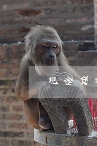 现金贷逾期仲裁怎么办 现金贷逾期仲裁怎么办