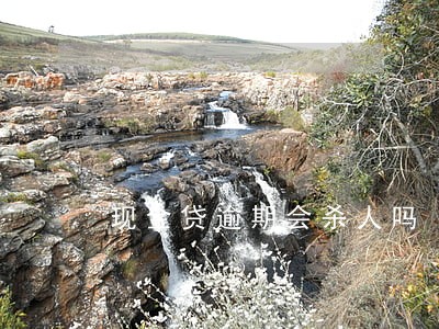 现金贷逾期会杀人吗