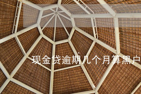 现金贷逾期几个月算黑户 现金贷逾期几个月算黑户