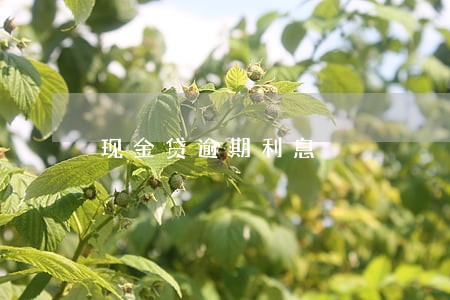 现金贷逾期利息 现金贷逾期利息
