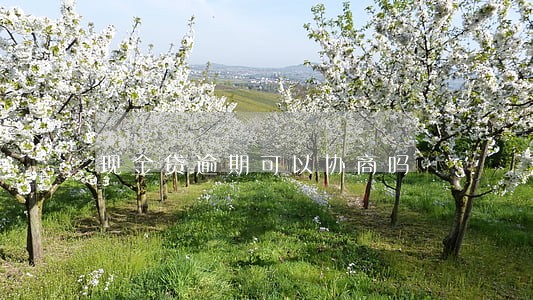 现金贷逾期可以协商吗 现金贷逾期可以协商吗