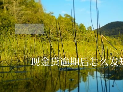 现金贷逾期后怎么发短信