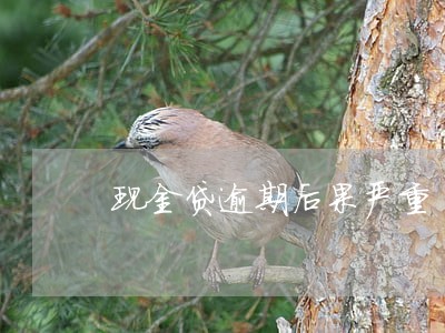 现金贷逾期后果严重 现金贷逾期后果严重