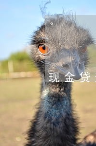 现金贷逾期后果对比 现金贷逾期后果对比