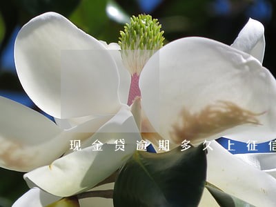 现金贷逾期多久上征信 现金贷逾期多久上征信