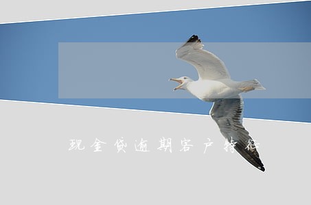 现金贷逾期客户特征 现金贷逾期客户特征