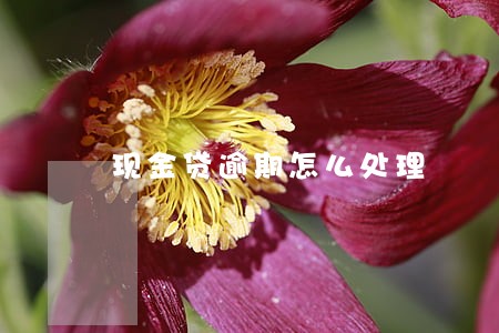 现金贷逾期怎么处理 现金贷逾期怎么处理