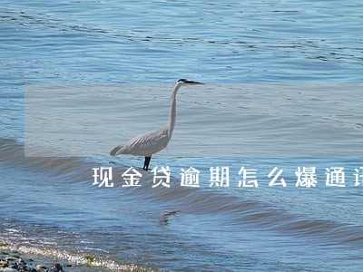 现金贷逾期怎么爆通讯录 现金贷逾期怎么爆通讯录