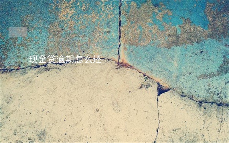 现金贷逾期怎么还 现金贷逾期怎么还