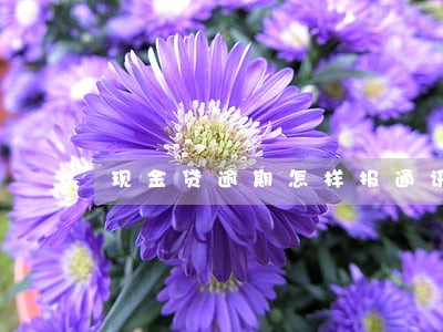 现金贷逾期怎样报通讯录 现金贷逾期怎样报通讯录
