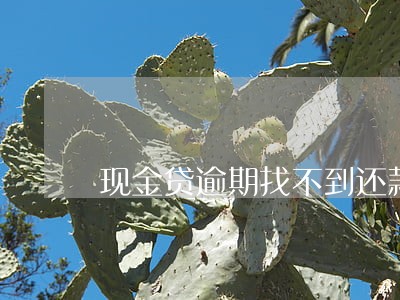 现金贷逾期找不到还款入口怎么办 现金贷逾期找不到还款入口怎么办