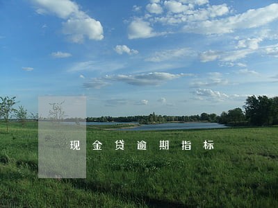 现金贷逾期指标 现金贷逾期指标