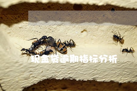 现金贷逾期指标分析 现金贷逾期指标分析