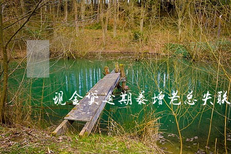 现金贷逾期暴增老总失联 现金贷逾期暴增老总失联