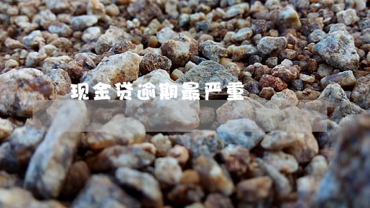 现金贷逾期最严重