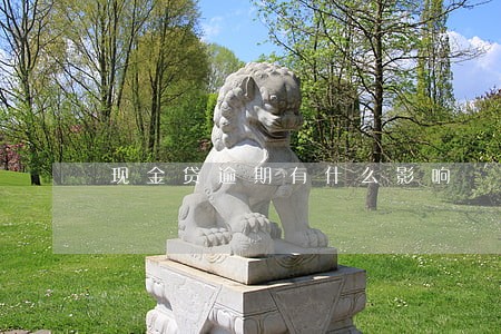 现金贷逾期有什么影响 现金贷逾期有什么影响