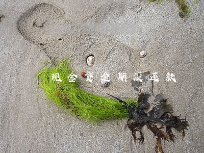 现金贷逾期没还款 现金贷逾期没还款