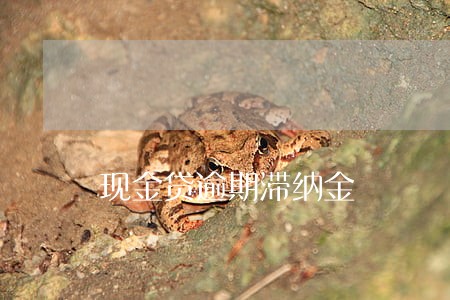 现金贷逾期滞纳金 现金贷逾期滞纳金