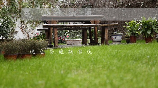 现金贷逾期潮流 现金贷逾期潮流
