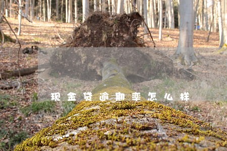 现金贷逾期率怎么样 现金贷逾期率怎么样