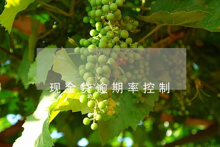 现金贷逾期率控制 现金贷逾期率控制