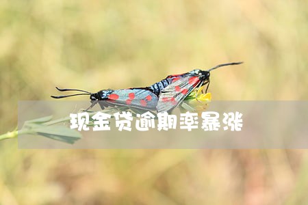 现金贷逾期率暴涨 现金贷逾期率暴涨
