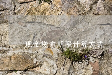 现金贷逾期率计算方式 现金贷逾期率计算方式