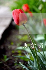 现金贷逾期用户名单 现金贷逾期用户名单