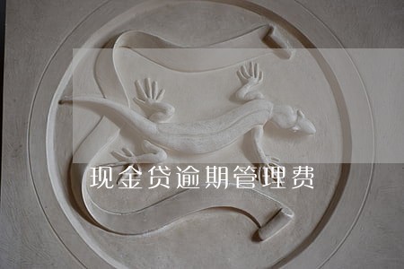 现金贷逾期管理费