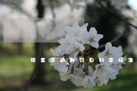 现金贷逾期罚息利率标准 现金贷逾期罚息利率标准