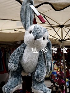 现金贷逾期被轰炸 现金贷逾期被轰炸