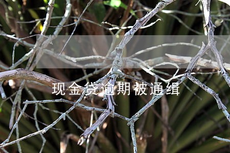 现金贷逾期被通缉 现金贷逾期被通缉