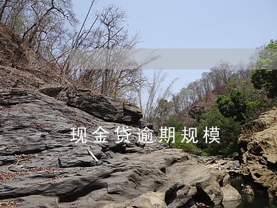 现金贷逾期规模 现金贷逾期规模