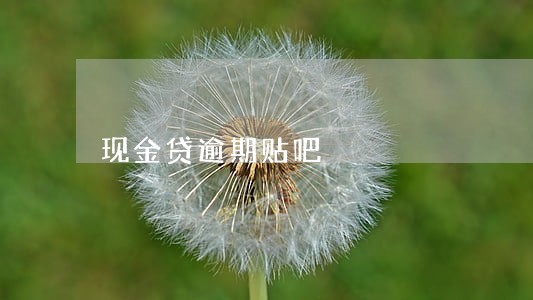 现金贷逾期贴吧 现金贷逾期贴吧