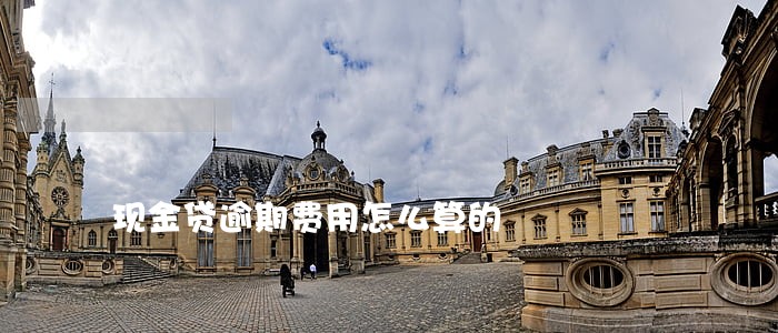现金贷逾期费用怎么算的 现金贷逾期费用怎么算的