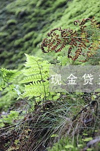 现金贷逾期费用过高 现金贷逾期费用过高