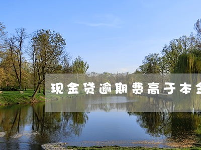 现金贷逾期费高于本金 现金贷逾期费高于本金