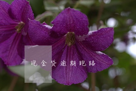 现金贷逾期跑路 现金贷逾期跑路