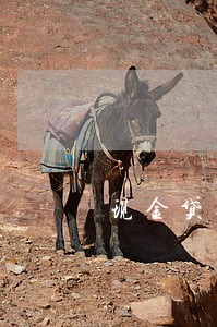现金贷逾期金额 现金贷逾期金额