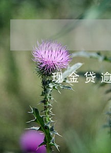 现金贷逾期靠谱吗 现金贷逾期靠谱吗
