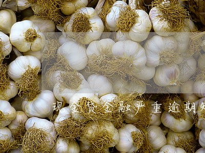 现金贷金融严重逾期短信